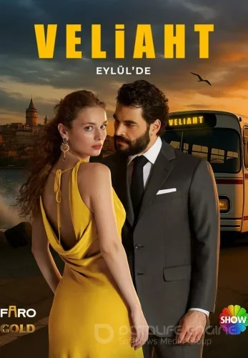 Наследник 13 серия